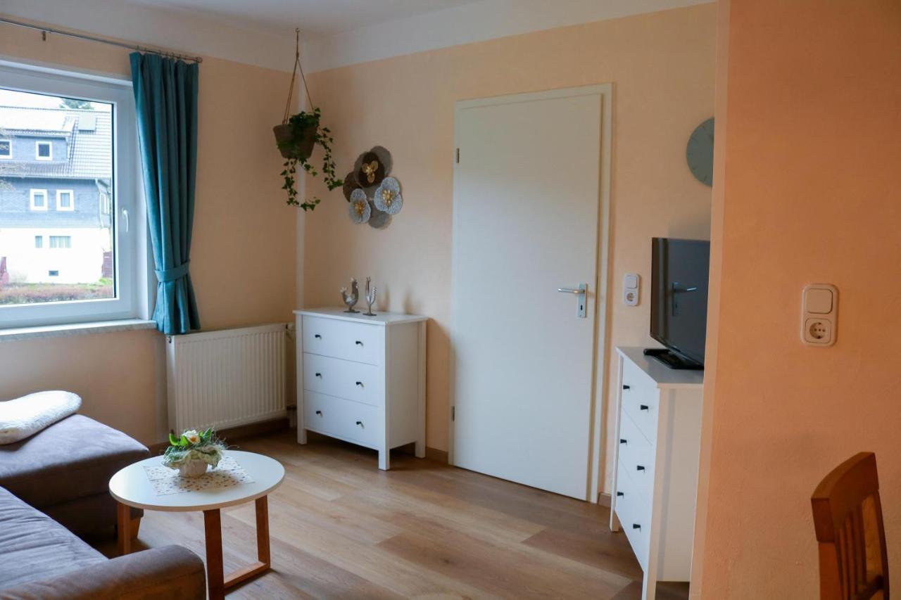 Haus Schmitten Winterberg Ngoại thất bức ảnh